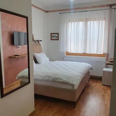 Fruskogorski Biser Apartament Carloviţ