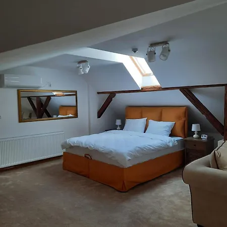 Fruskogorski Biser Apartament Carloviţ