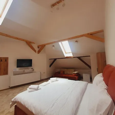 Apartment Fruskogorski Biser *