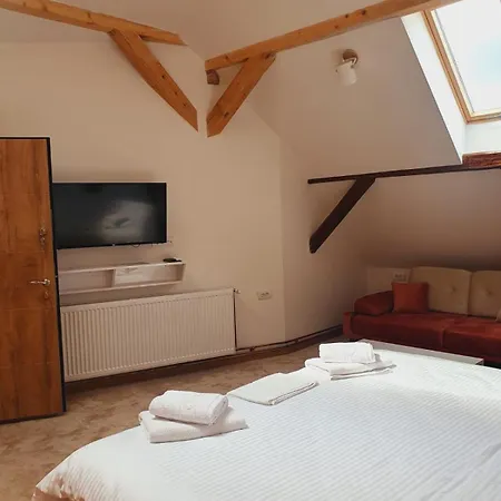Fruskogorski Biser Apartment