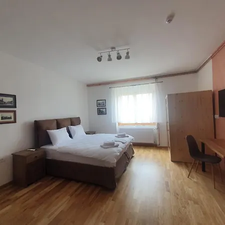 Fruskogorski Biser Apartment
